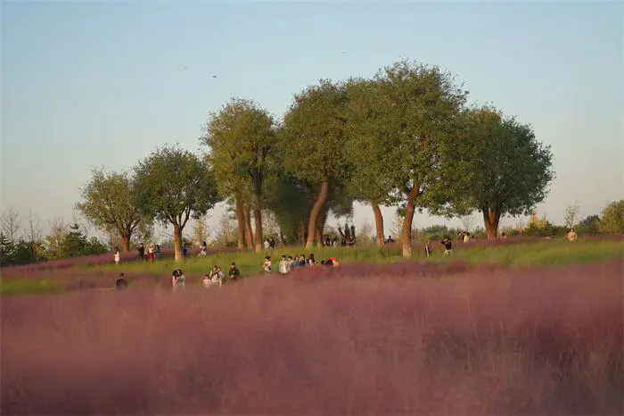 The current Weiyang Palace Ruins Park