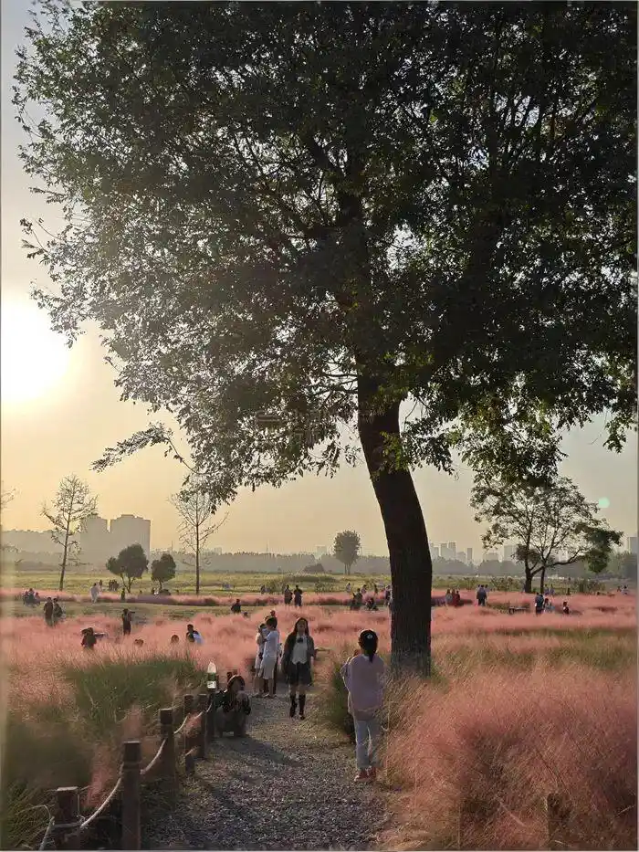 Weiyang Palace Ruins Park