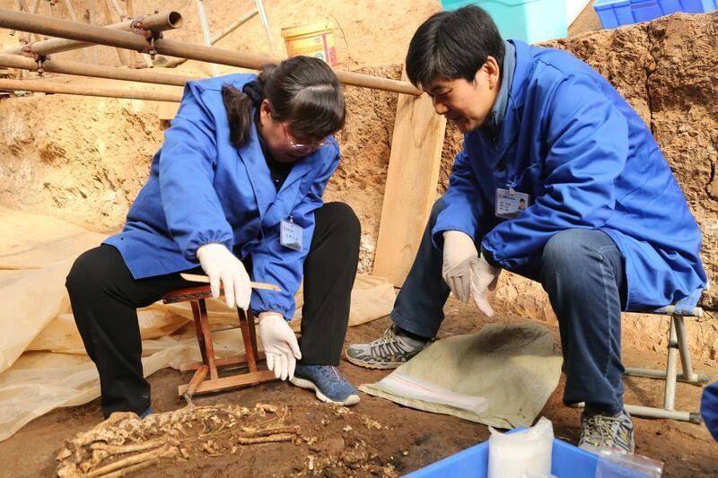 Exotic Horse Treasure Unearthed at Emperor Wen of Han's Baling Mausoleum